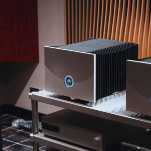 Linn Klimax Solo 800 Mono Amplifier